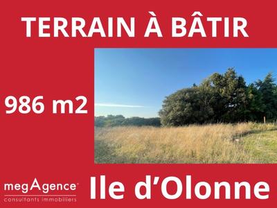 Terrain constructible - 986 m²