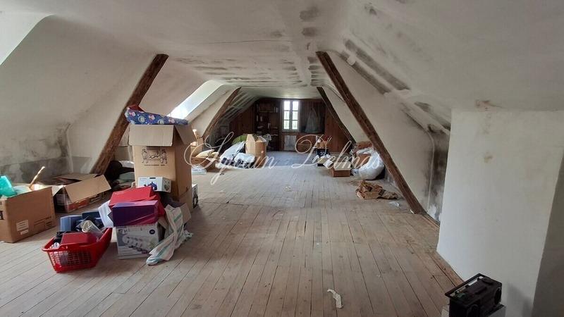 Maison de maîtres - 300 m² - 9 pièces