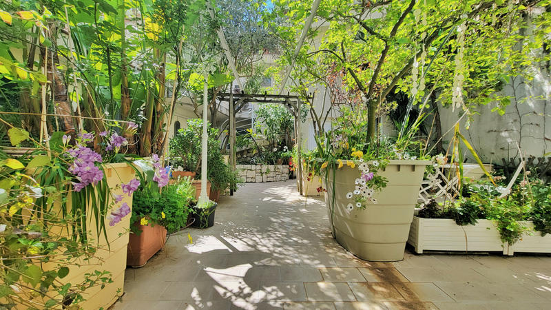 Immeuble - 13 pièces