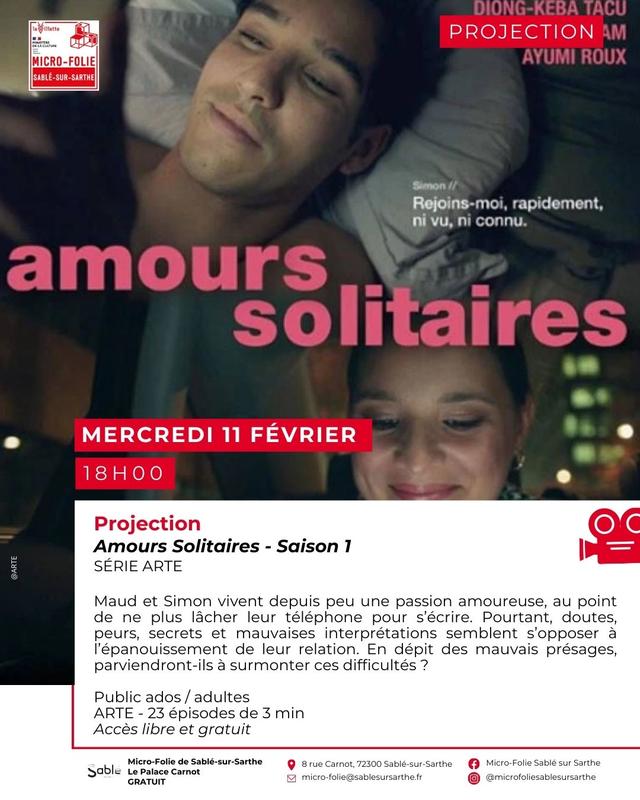 Projection série Arte : Amours solitaires - saison 1