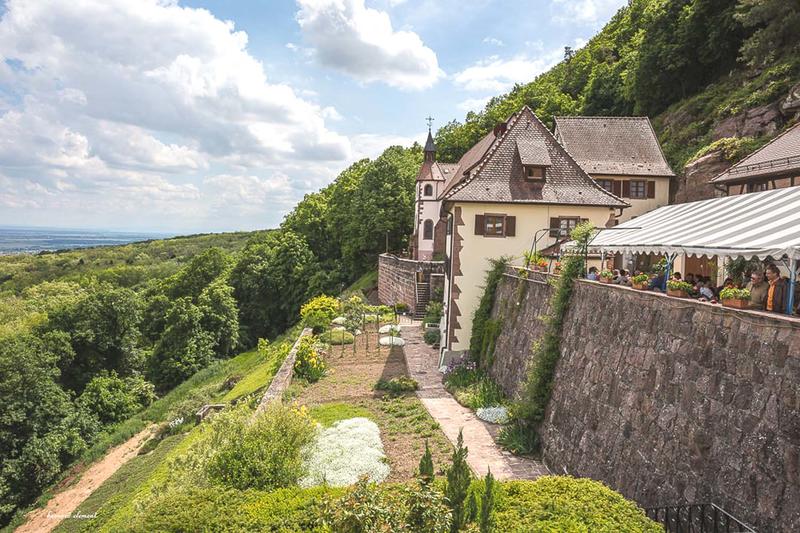 Club Vosgien : entre vignes et spiritualité