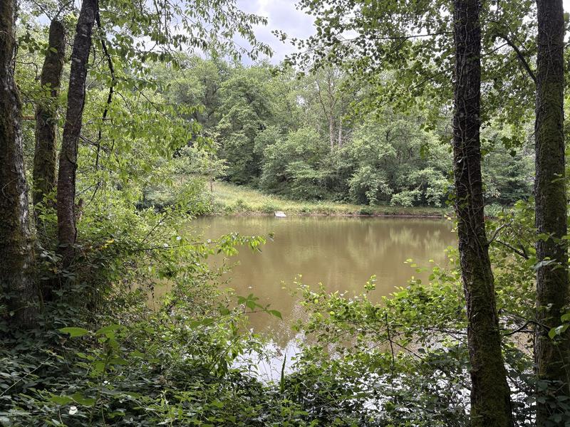 Terrain constructible - 41 380 m²