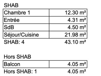 Appartement - 43 m² - 2 pièces