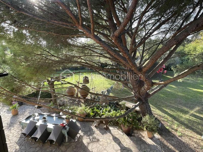 Mas - 545 m² - 18 pièces