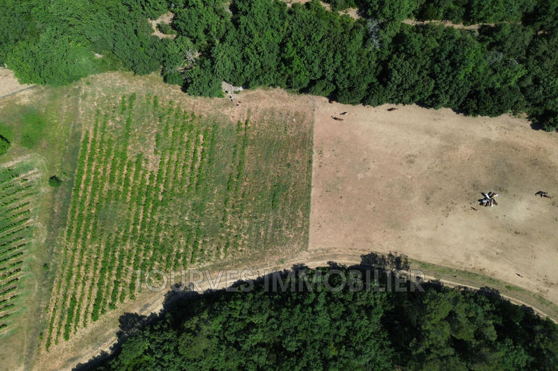 Terrain - 24 880 m²