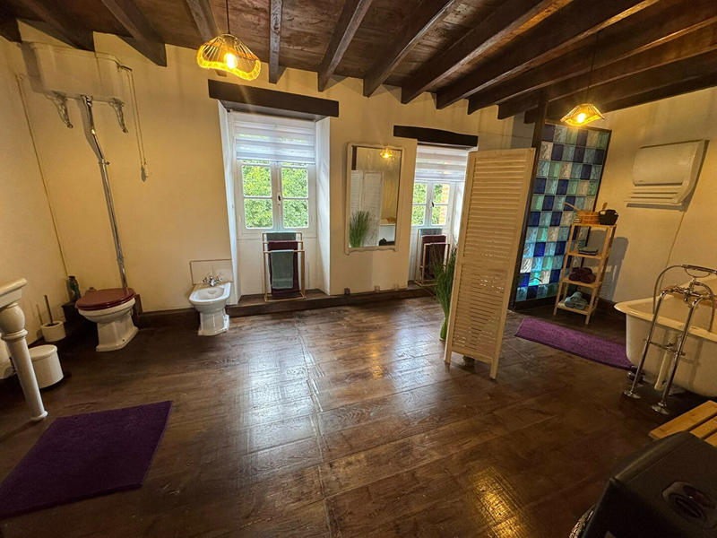 Moulin - 250 m² - 9 pièces