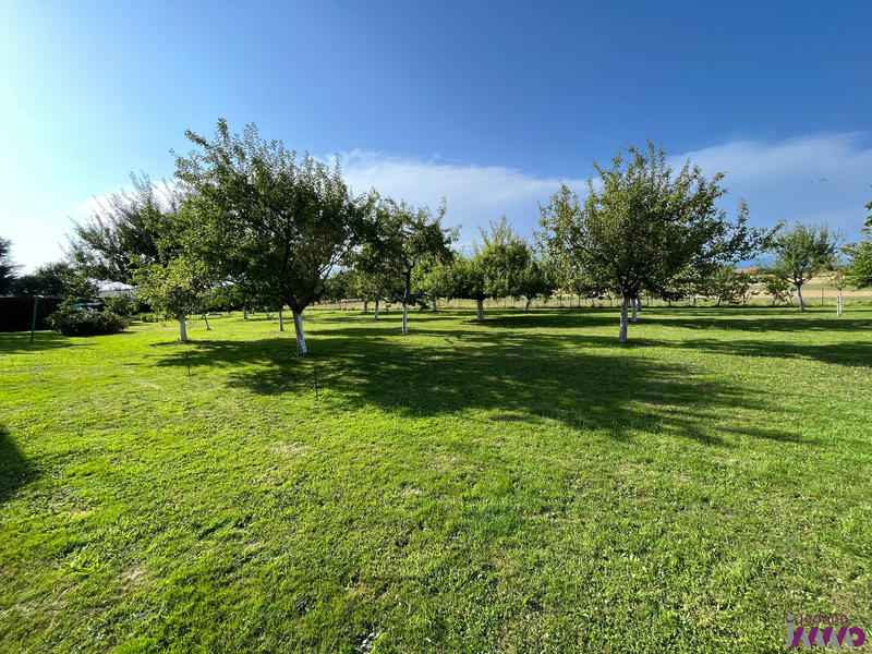 Terrain - 1 215 m²
