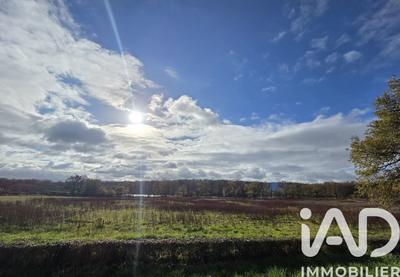 Terrain - 31 254 m²