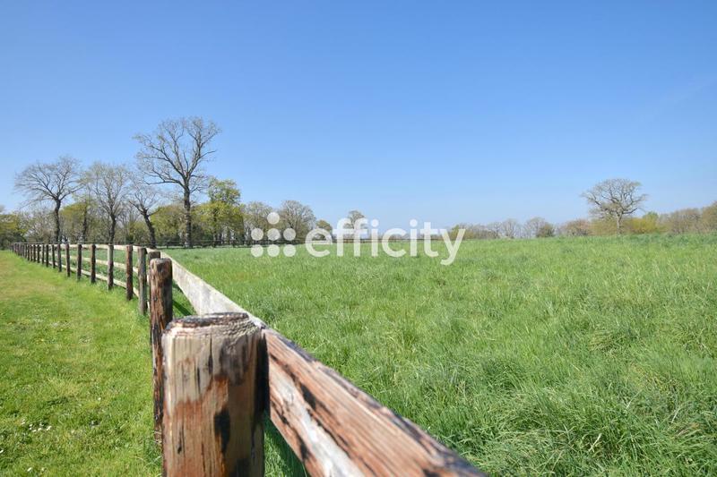 Maison de domaine équestre - 356 m² - 13 pièces