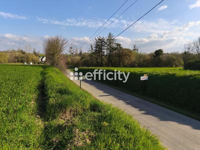 Terrain - 703 m²