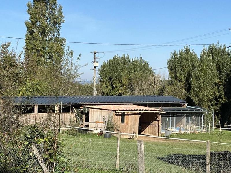 Maison en pierre - 355 m² - 11 pièces