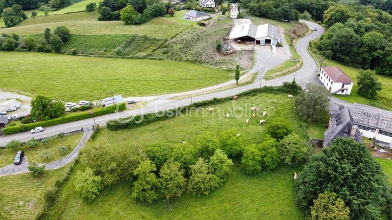 Terrain - 13 255 m²