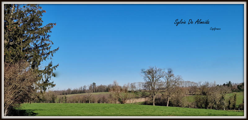 Maison - 270 m² - 8 pièces