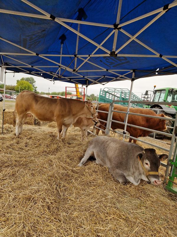 Grande Foire Agricole