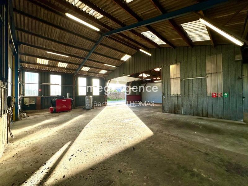 Local commercial - 3 252 m² - 6 pièces