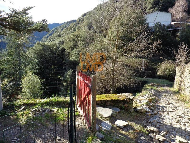 Maison en pierre - 52 m² - 3 pièces