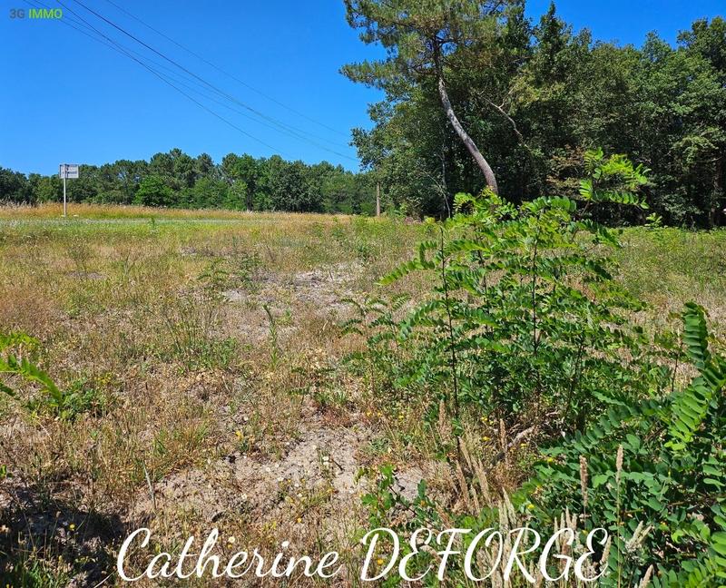 Terrain constructible - 1 298 m²