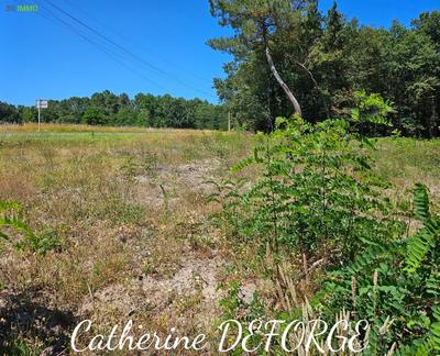Terrain constructible - 1 298 m²