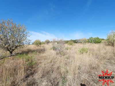 Terrain agricole - 5 075 m²