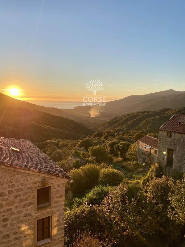 Maison de village - 314 m² - 6 pièces