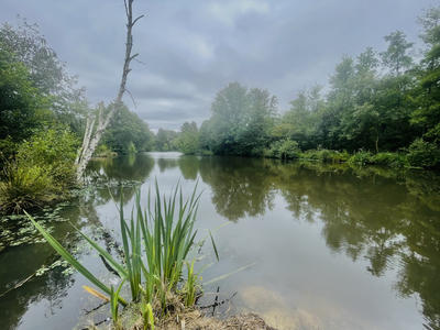 Terrain de loisirs - 23 000 m²