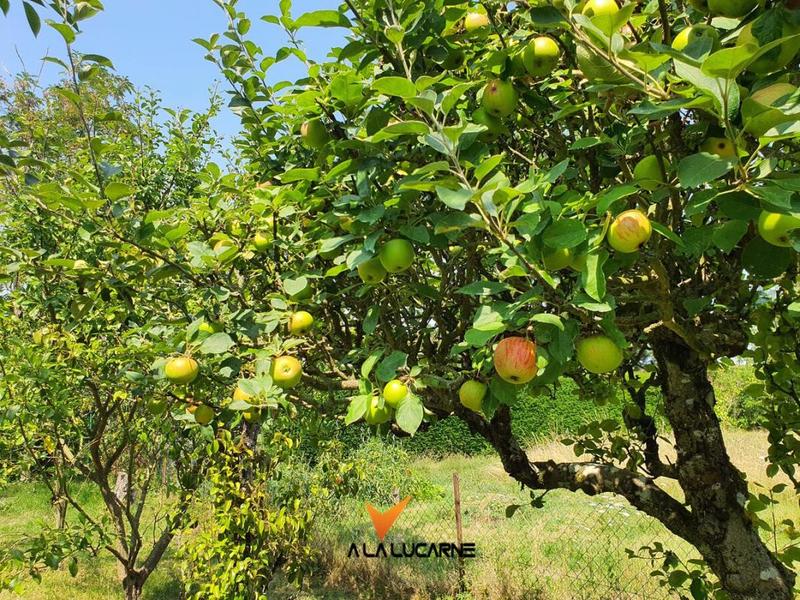 Maison - 77 m² - 4 pièces