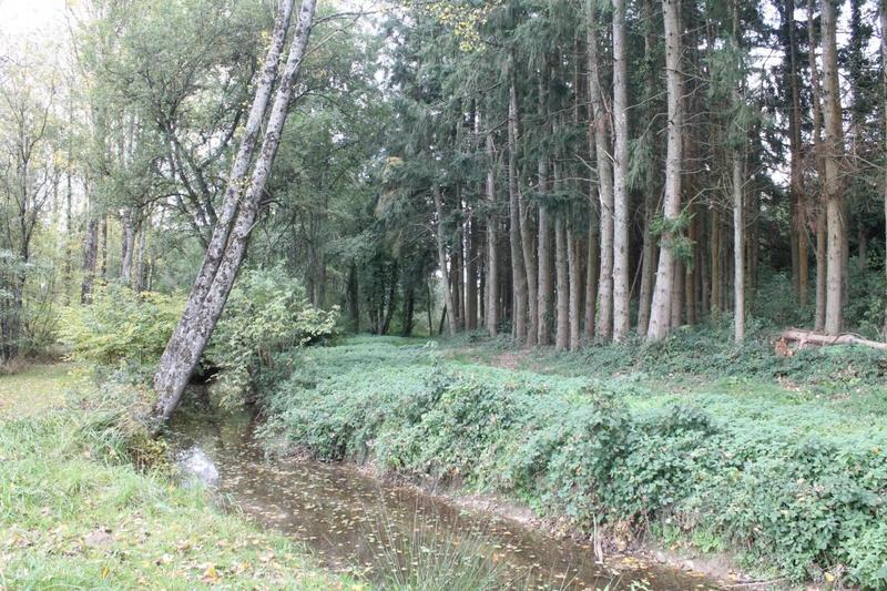 Terrain de loisirs - 67 340 m²