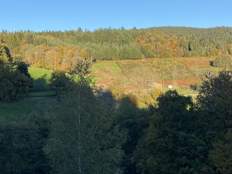 Maison ancienne - 300 m² - 7 pièces