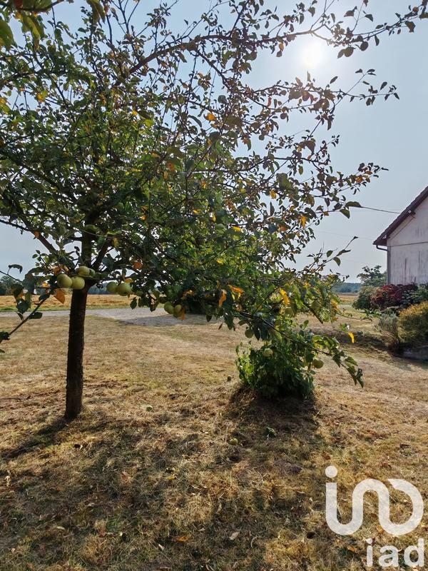 Maison - 147 m² - 5 pièces