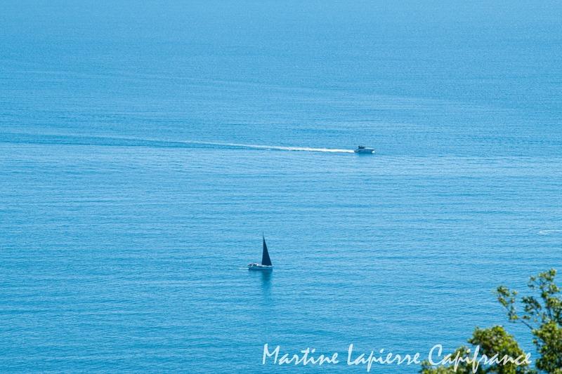 Maison d'architecte - 350 m² - 6 pièces