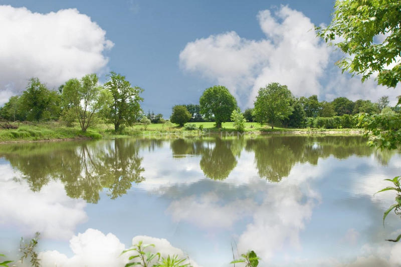 Maison - 250 m² - 6 pièces