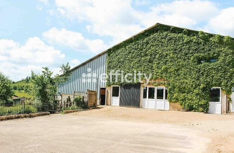 Bureau - 278 m² - 8 pièces