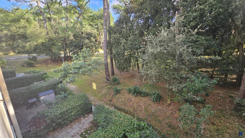 Appartement - 31 m² - 2 pièces