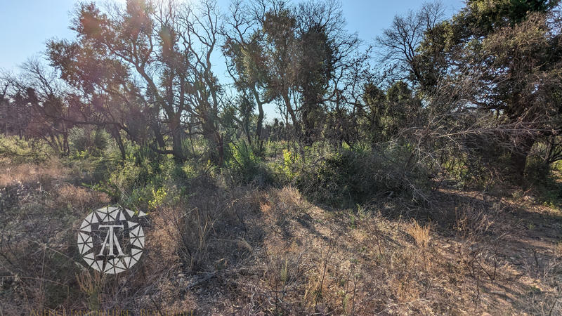 Terrain agricole - 8 038 m²