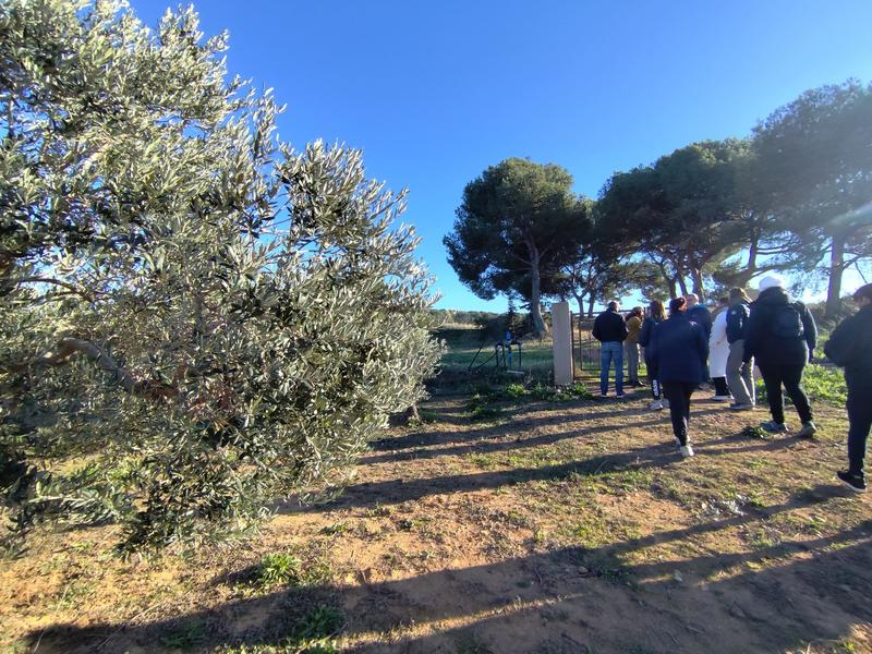 Rencontre avec une oléicultrice au Domaine Plan de Fossan