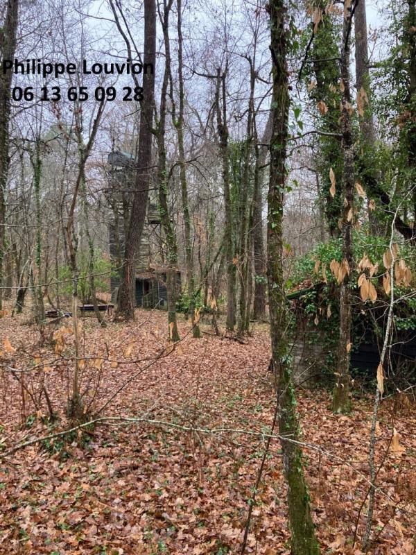 Forêt - 8 390 m²