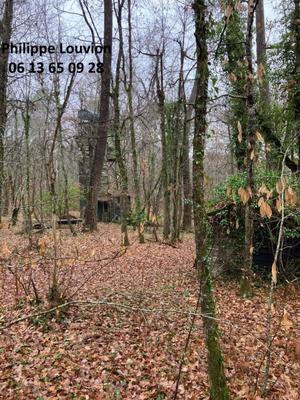 Forêt - 8 390 m²