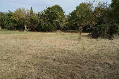 Maison - 180 m² - 4 pièces