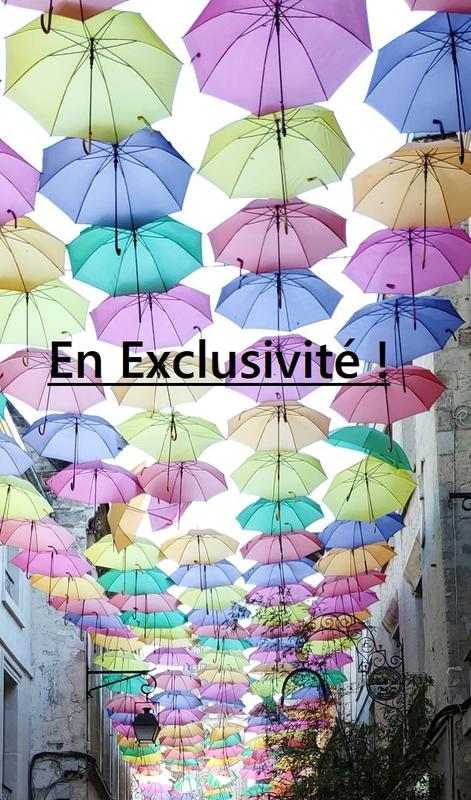 Appartement - 13 m² - 1 pièce