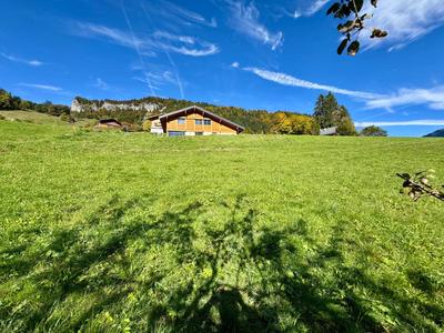 Terrain - 722 m²