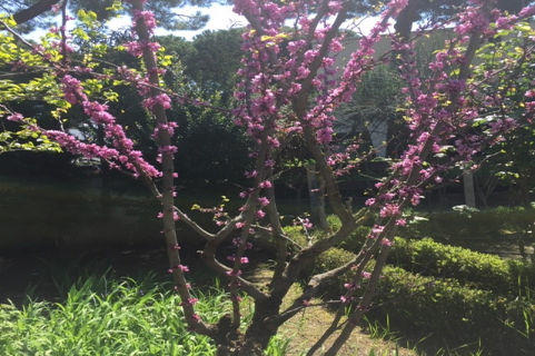 Villa - 118 m² - 5 pièces