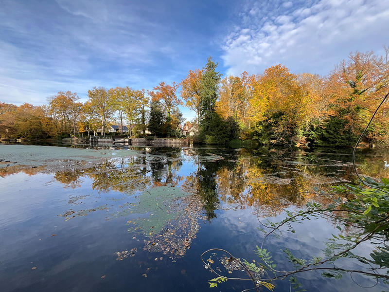 Maison - 369 m² - 11 pièces