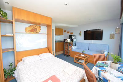 Appartement - 24 m² - 1 pièce