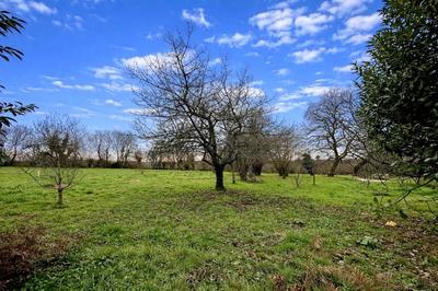 Ferme - 234 m² - 7 pièces