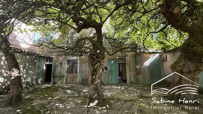 Maison ancienne - 238 m² - 10 pièces