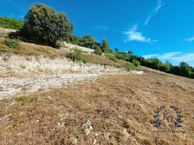 Terrain - 1 715 m²