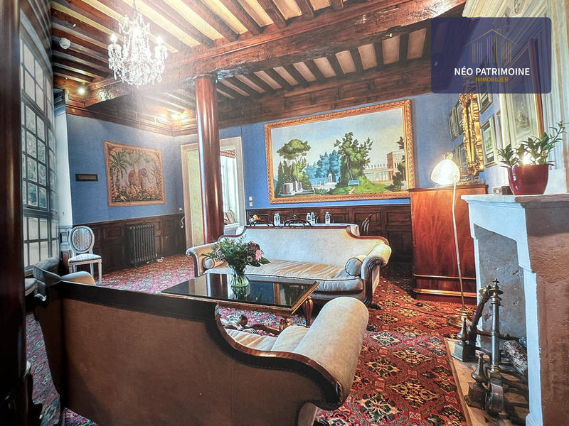 Château - 2 000 m² - 40 pièces