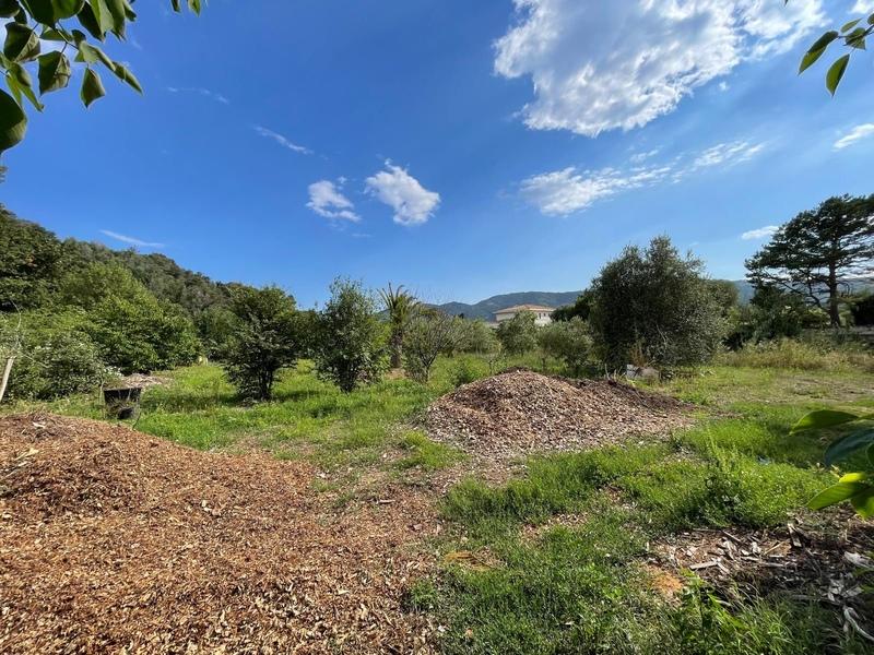 Terrain - 8 136 m²