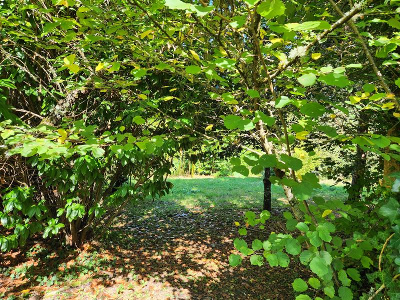 Propriété - 250 m² - 8 pièces