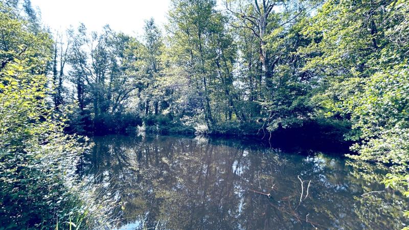 Maison en pierre - 138 m² - 6 pièces